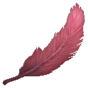 Red Cockat Feather