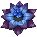 푸른 콜리멘 꽃
