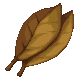 Discolored Leaf