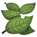 Bushspider Leaf