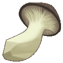 Corrupt Brown Lapasape Mushroom