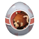 Lesser Panda Egg