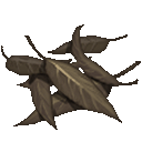 갈색 라프세이프 잎